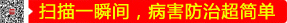 һ˲gγ