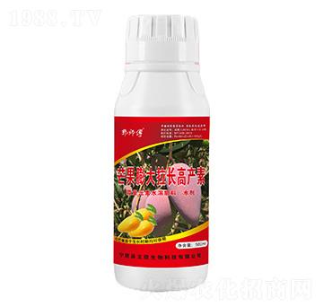 芒果膨大拉長(zhǎng)精華素-郭師傅-立信生物