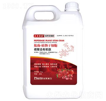 肽酶·植物干細(xì)胞-昊月信合