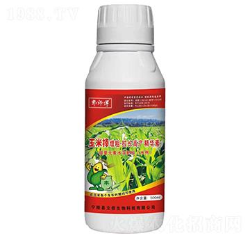 玉米棒增粗·拉長(zhǎng)高產(chǎn)精華素-郭師傅-立信生物