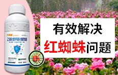 Kr(nng)о޹˾
